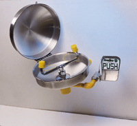 Bradley&reg; Stainless Steel Wall-Mounted Eye Wash With Dust Cover 